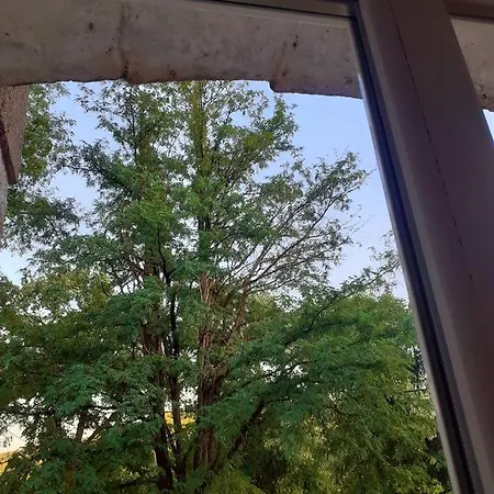 Apartman Centar Grada 트레빈예